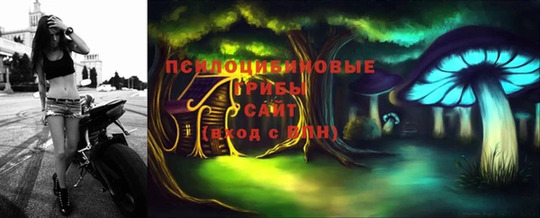 индика Абдулино