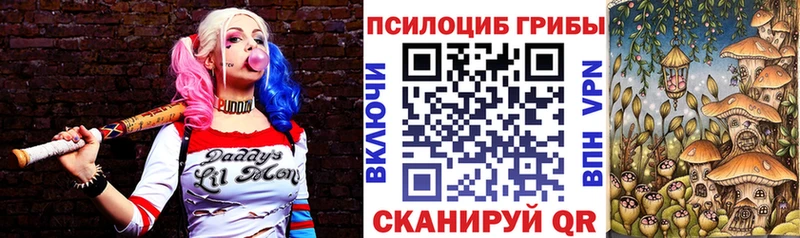 наркотики  Княгинино  Псилоцибиновые грибы Psilocybe 