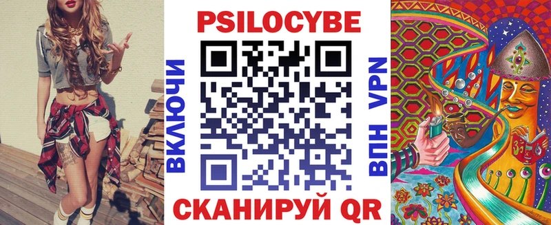 Псилоцибиновые грибы Psilocybe Княгинино